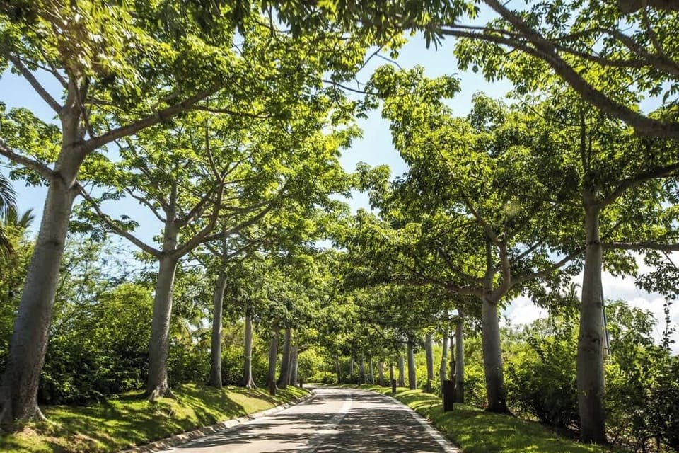 Enjoy the drive of punta mita gardens 