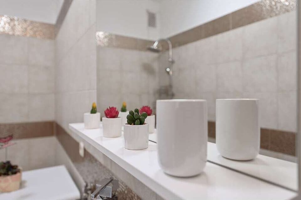 Basic Apartment | Bathroom | Shower, bidet, towels