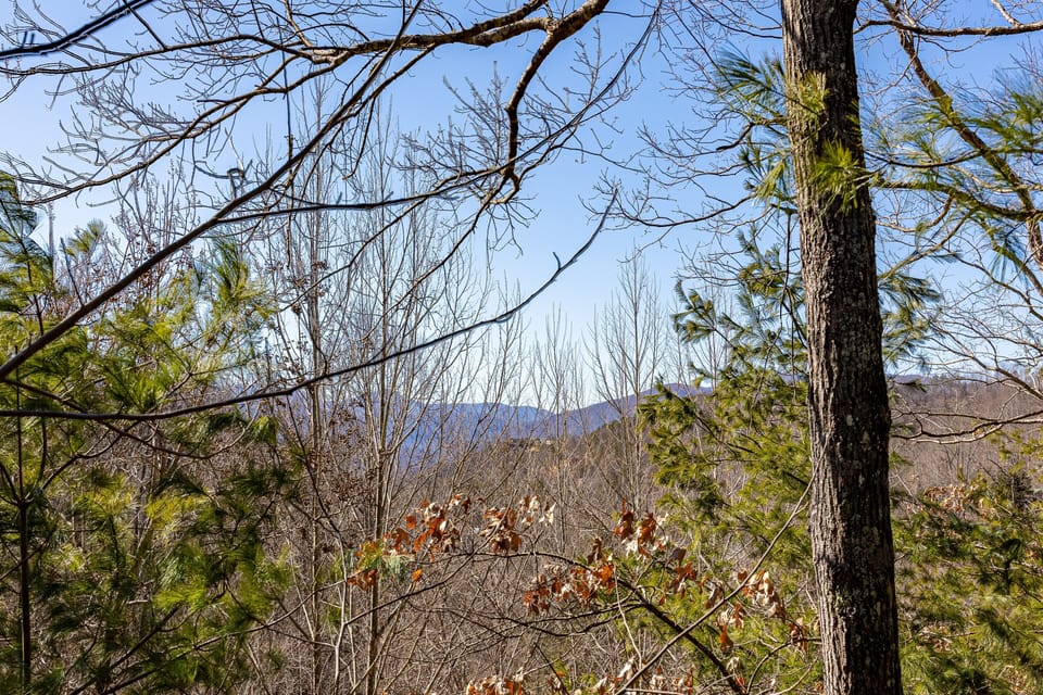Seasonal views of Mt. Leconte welcome you as you step out on the upper balcony