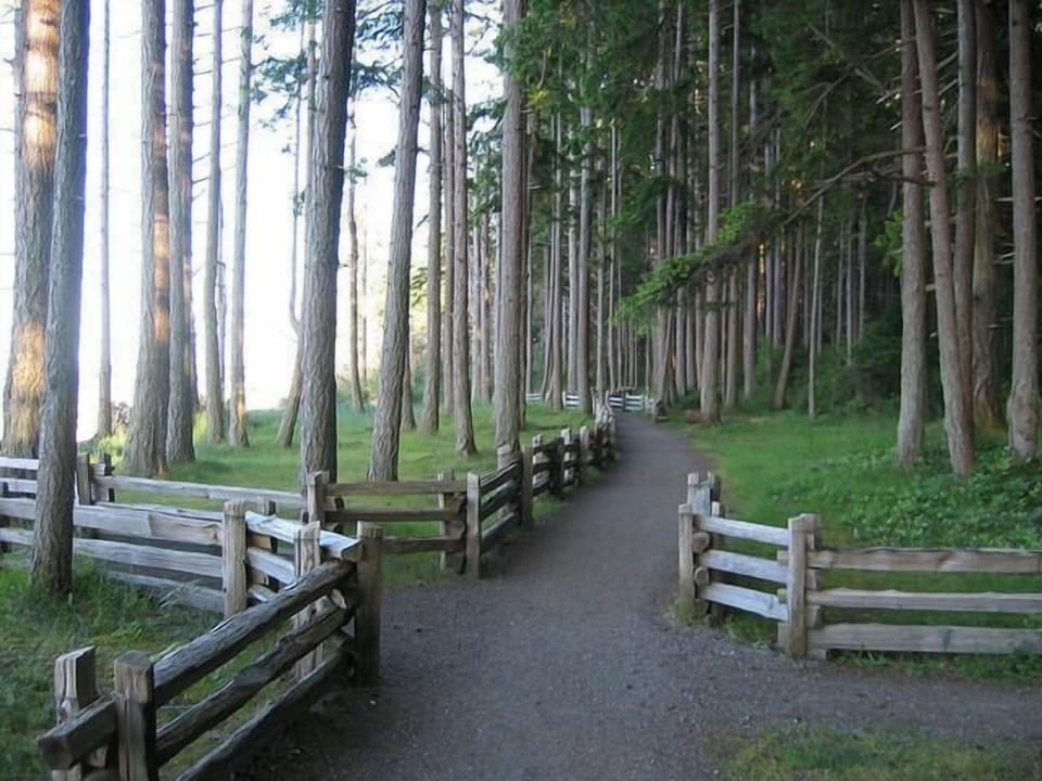 Rathtrevor trails just 15 mins walk away