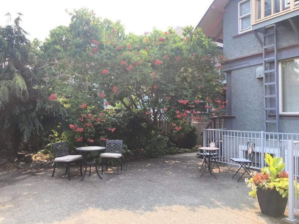 Back patio