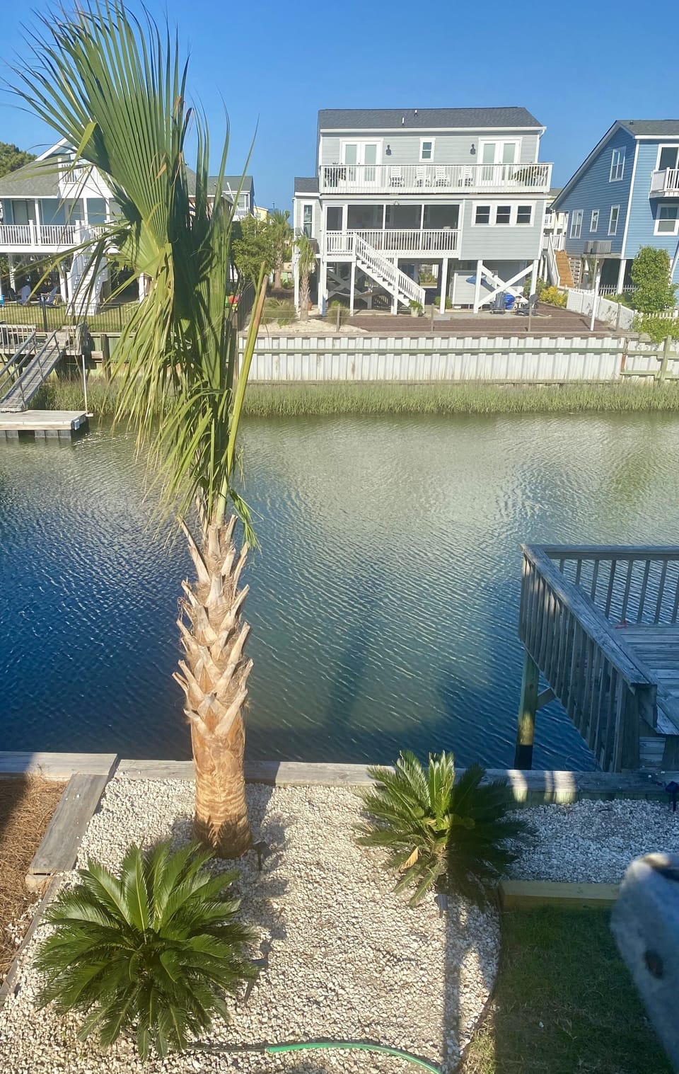 Palms on the canal