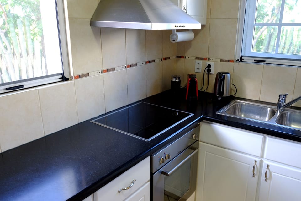 the new induction stove