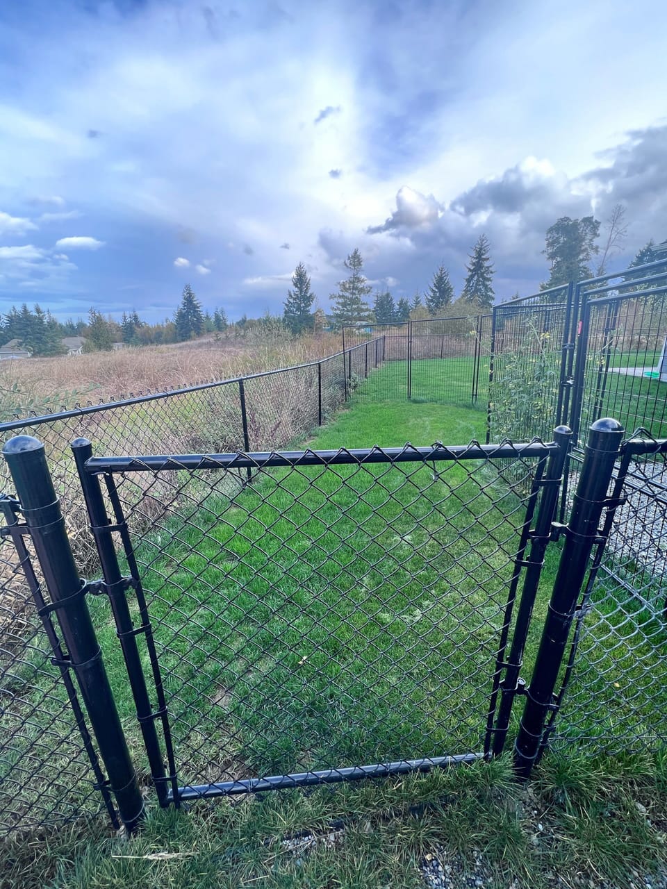 Enclosed dog kennel 