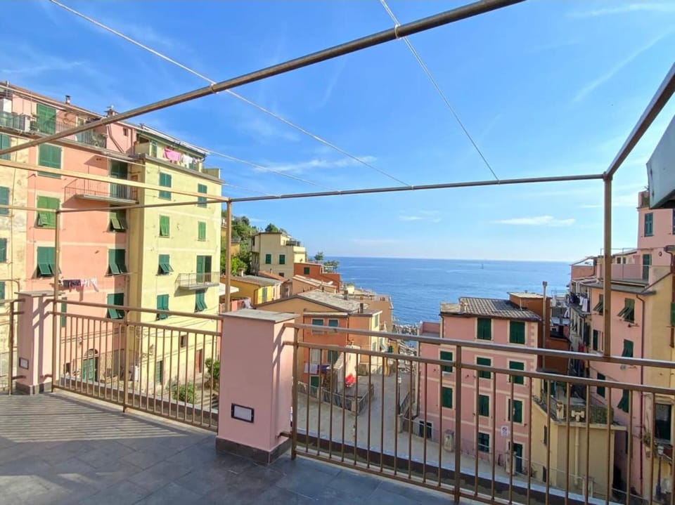 View from the terrace