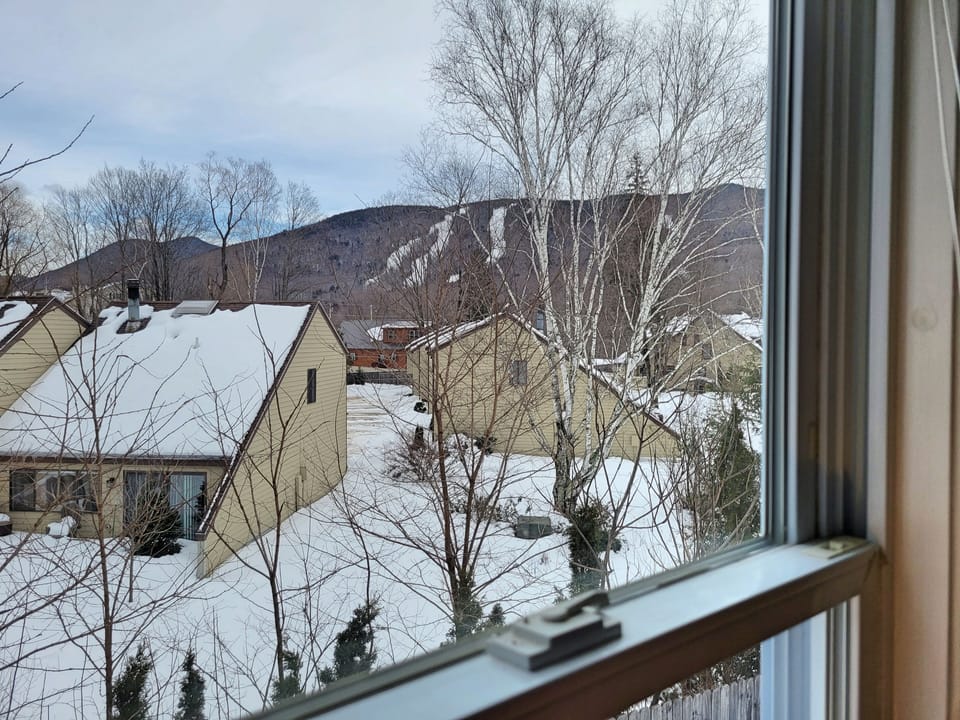 View from twin room to slopes