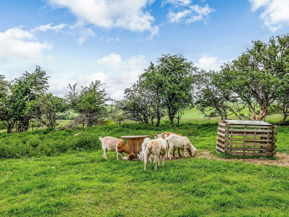Garden and grounds | Foxglove - Meadows Huts, Parwich, near Ashbourne