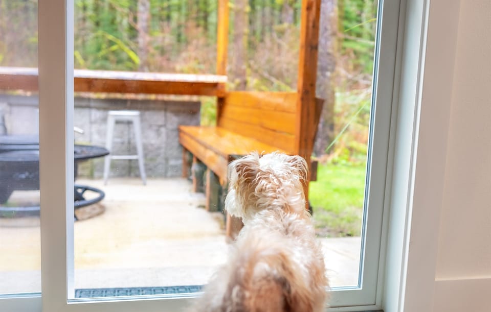 Dogs Welcome!