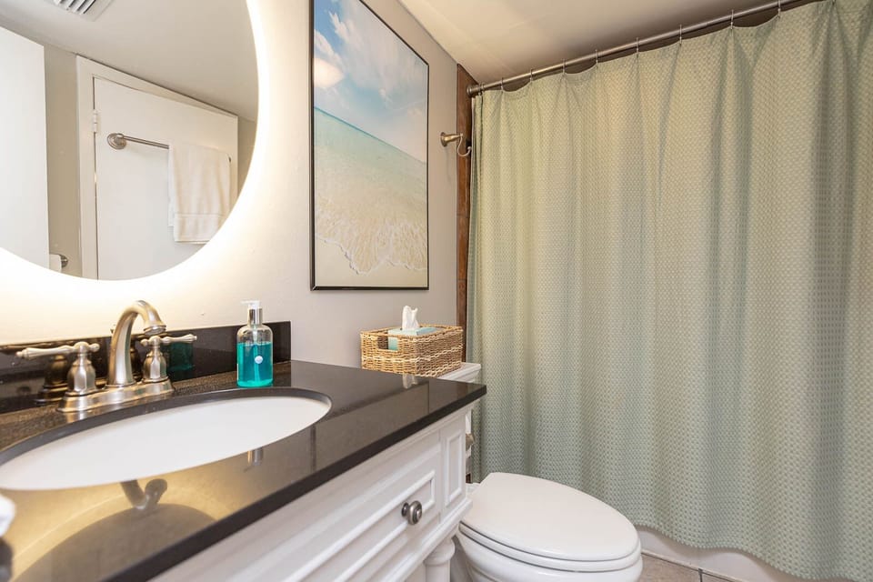 The bathroom features a sleek black countertop, a stylish round mirror, and a calming green shower curtain