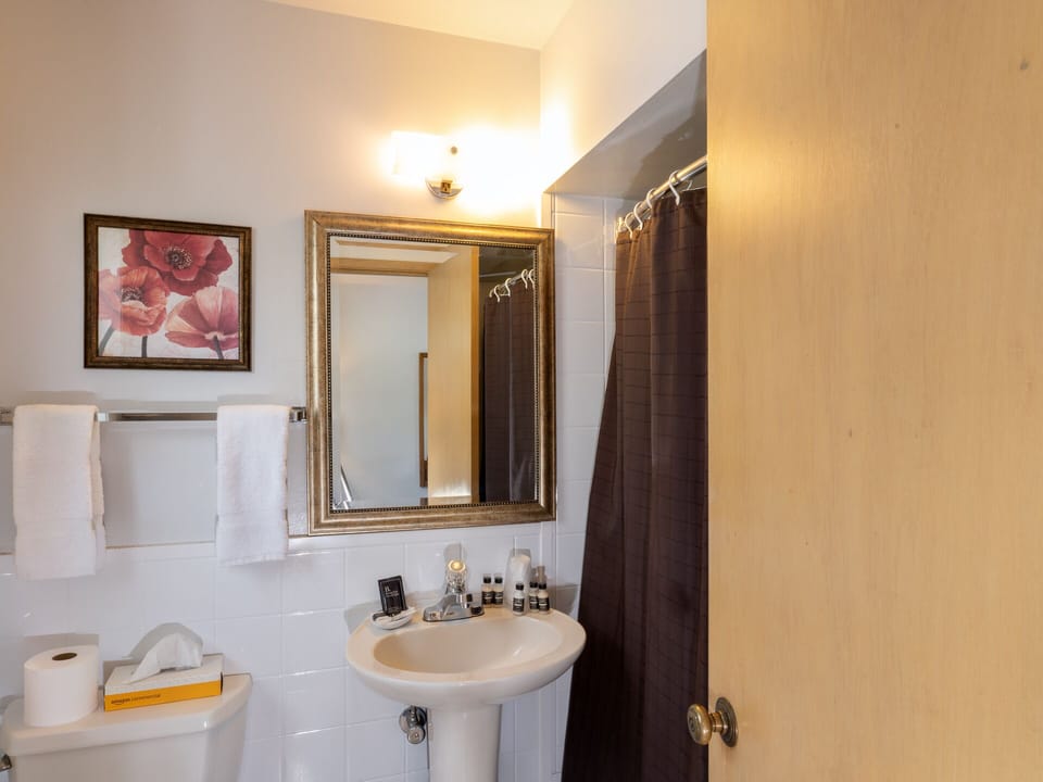 Shower, rainfall showerhead, hair dryer, towels