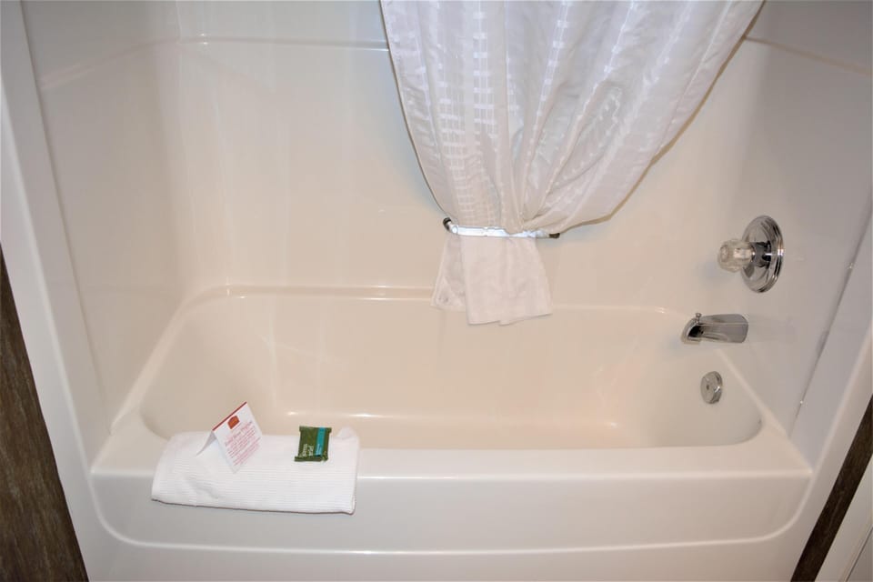 Standard 2 Queen Bed- Pet Friendly image 7