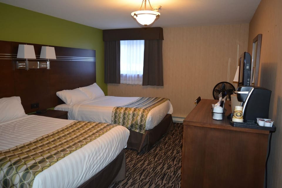 Standard 2 Queen Bed- Pet Friendly image 3