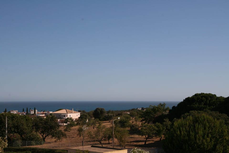 View from the roof terrace