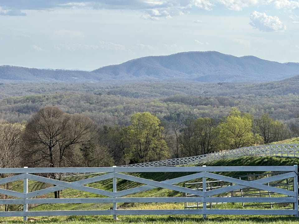 View from property