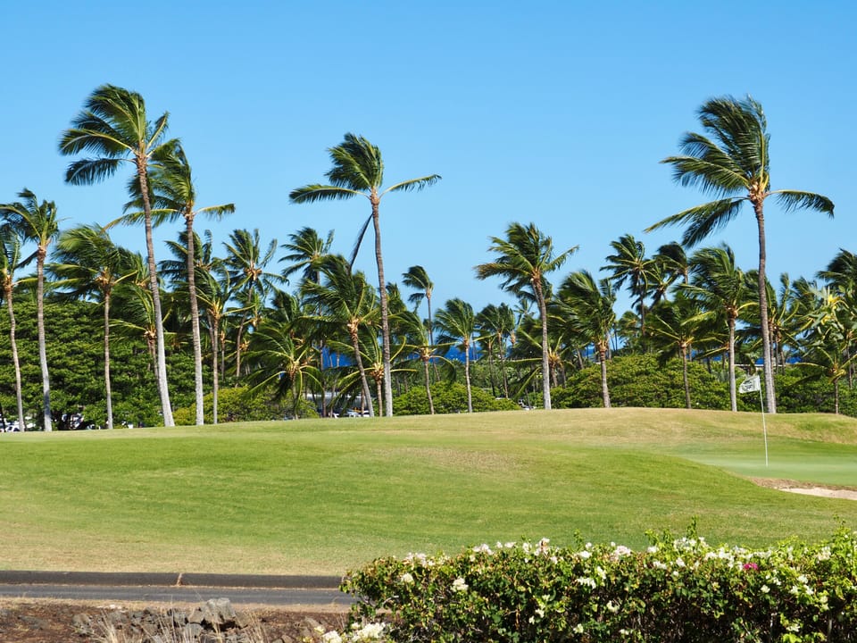 Peekaboo ocean views from the lanai through the Palms and Plumeria