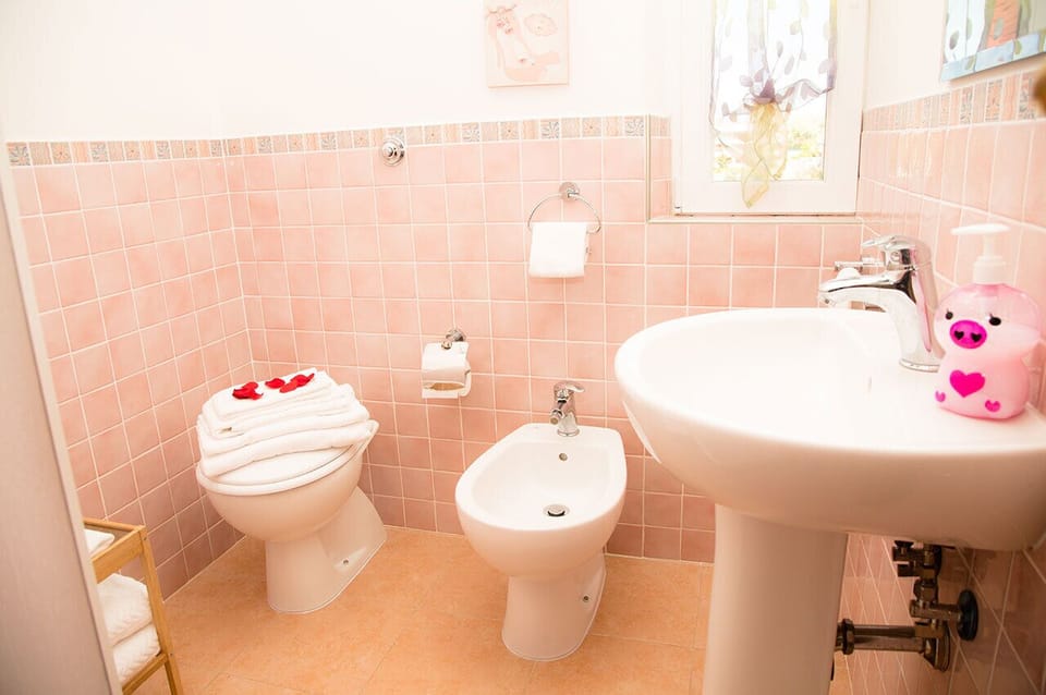 Shower, rainfall showerhead, hair dryer, bidet