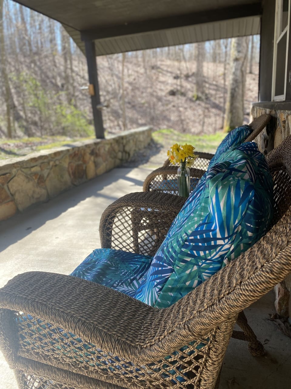 Back patio retreat is secluded but minutes away from town- early spring view 