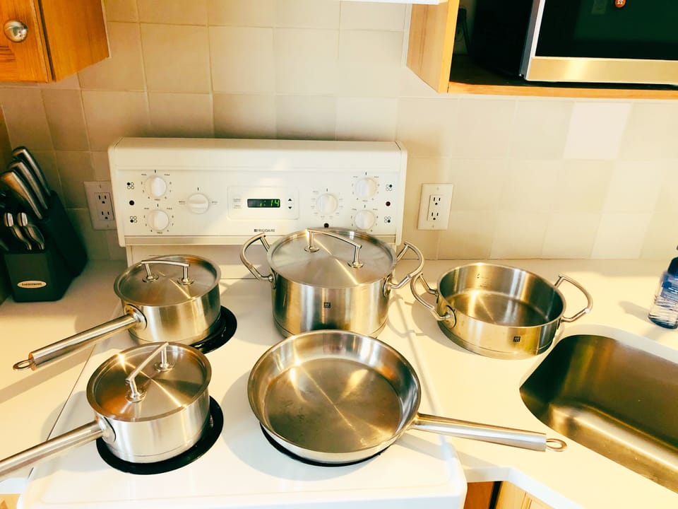 zwilling cooking pot