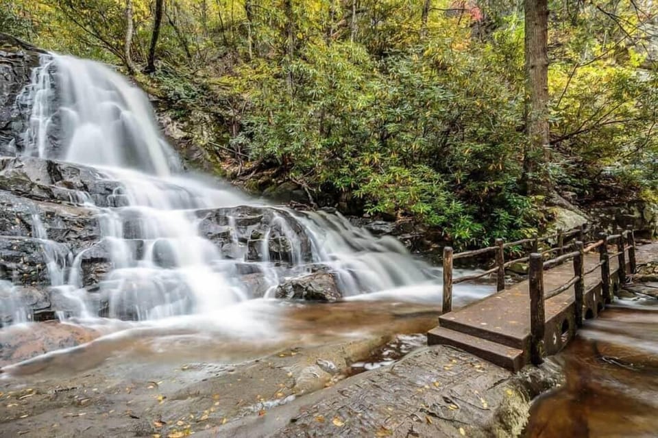 Enjoy the most popular national park in the United States (The Great Smoky Mountains) and the sights and sounds of downtown Gatlinburg and Pigeon Forge (all within a 10-minute drive of us!)