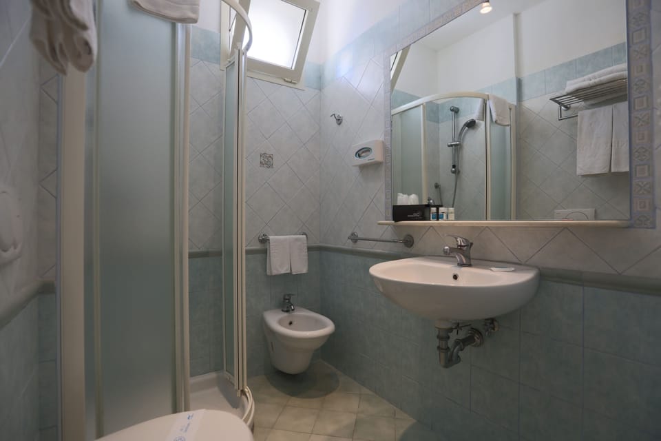 Shower, free toiletries, hair dryer, bidet