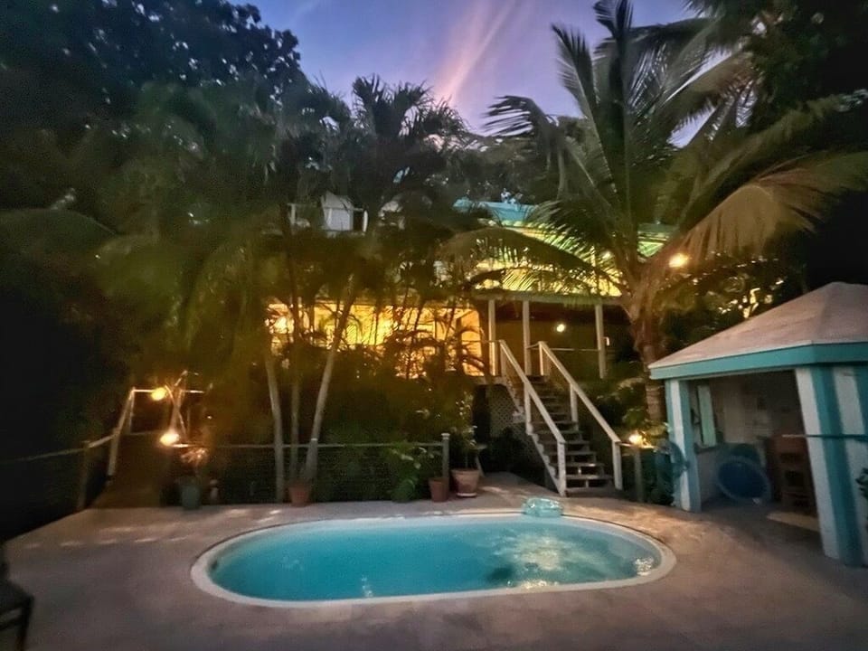Night Swimming