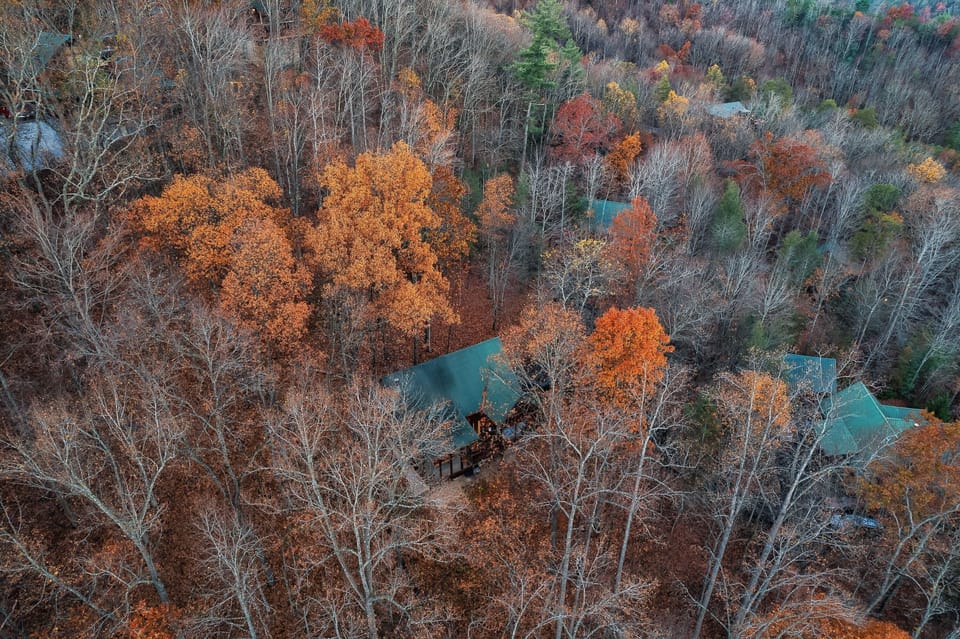 Drone shot of cabin shows how private the cabin is. 