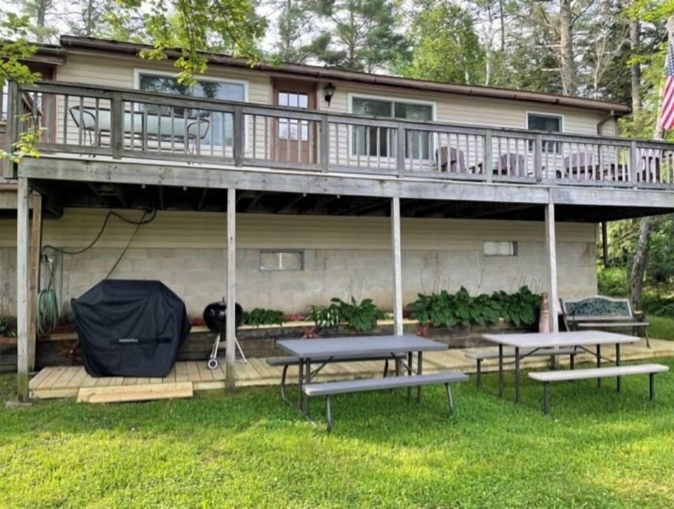 Rear from Pond