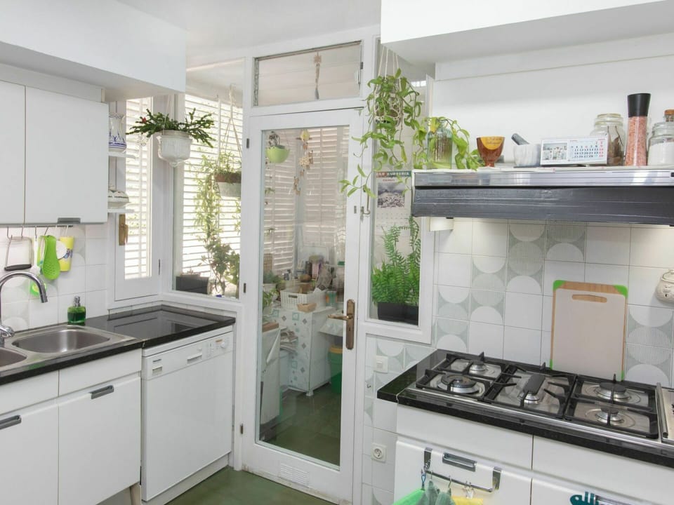 Countertop, Sink, Cabinetry, Property, Kitchen Sink, Plant, Green, Kitchen, Interior Design, Kitchen Appliance