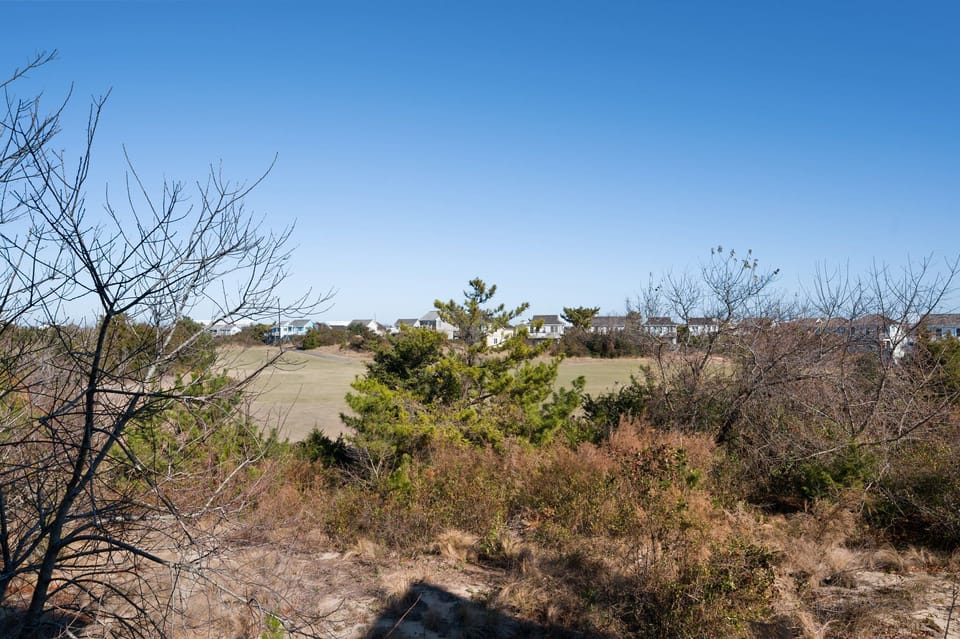 W13: Wedges 13 | ML Rear Deck View