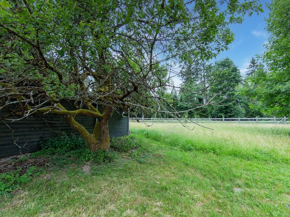 Immediate Surroundings [summer] (<1 km)