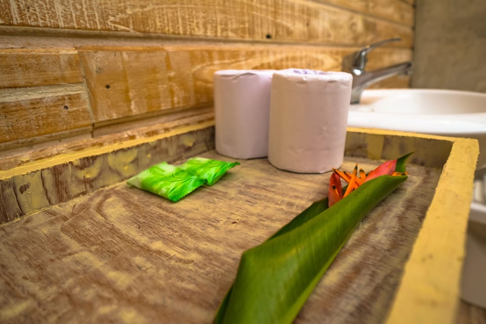 Deluxe Double Room | Bathroom | Shower, free toiletries, towels