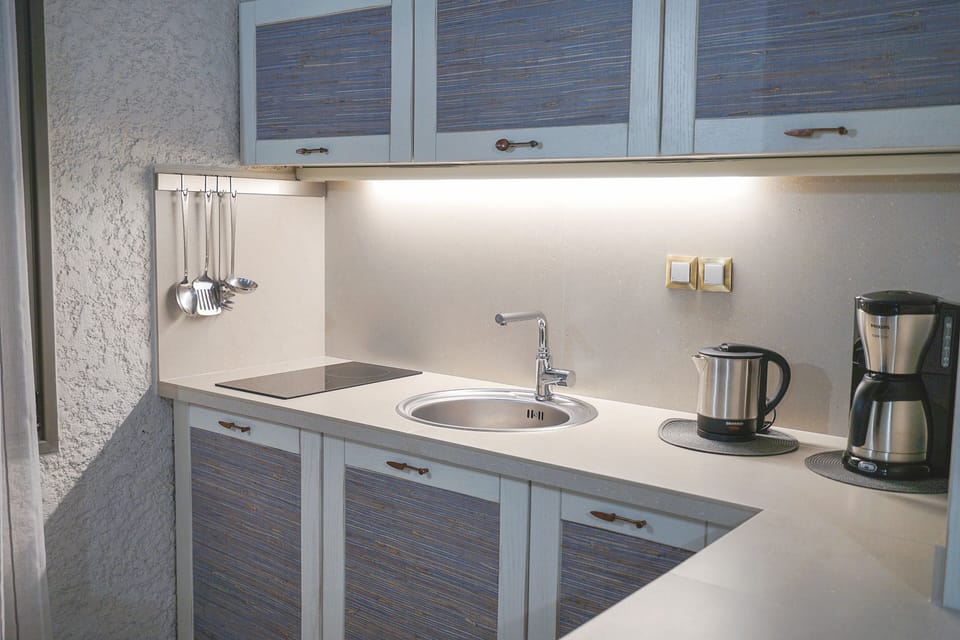 Luxury Apartment | Private kitchen | Mini-fridge, stovetop, coffee/tea maker, cookware/dishes/utensils
