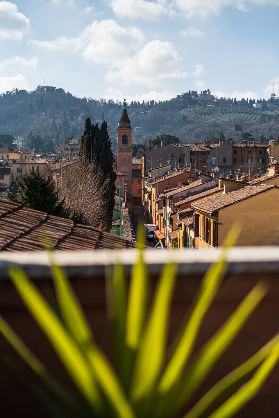 View from property