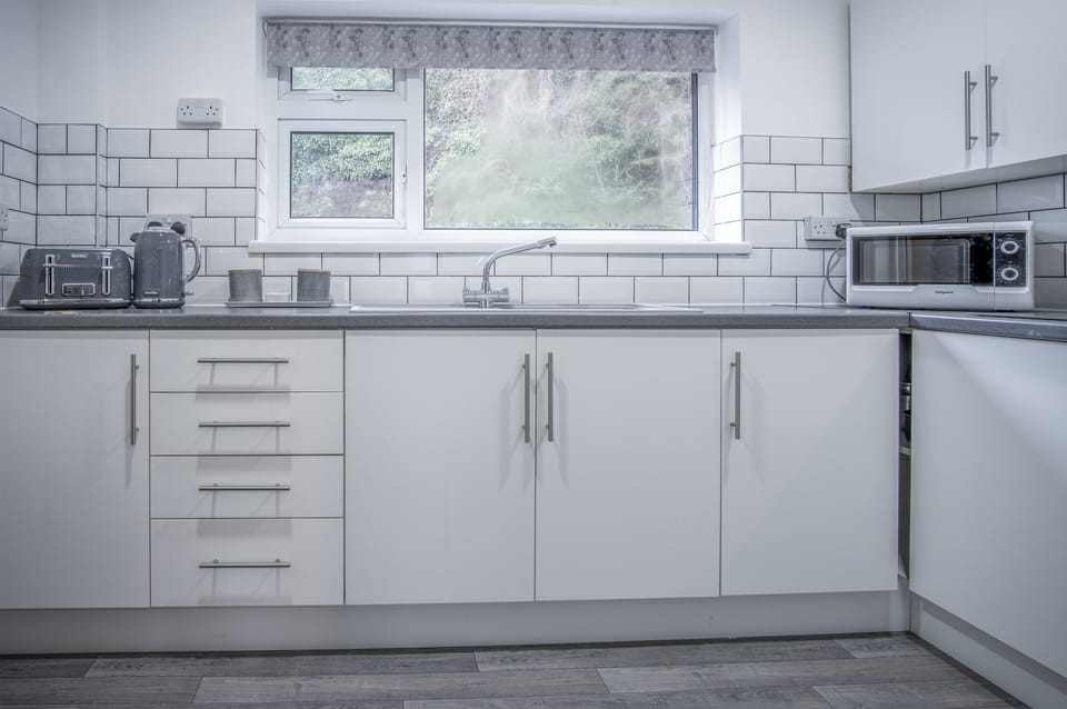 Full-size fridge, microwave, oven, stovetop