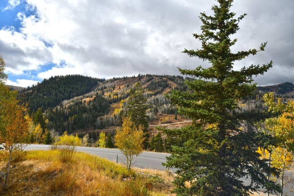 Mountain and Ski Run Views