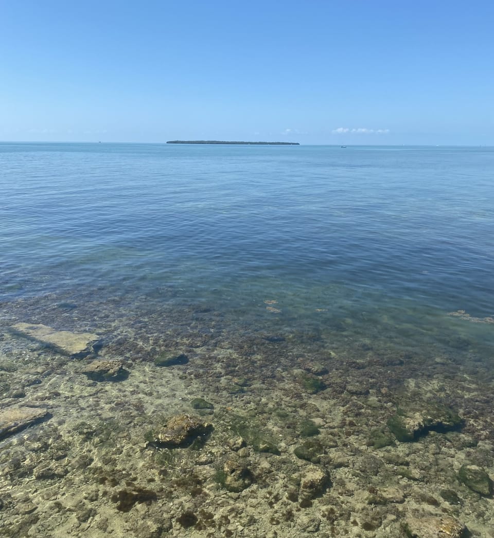 Clear water and view of Rodriguez Key