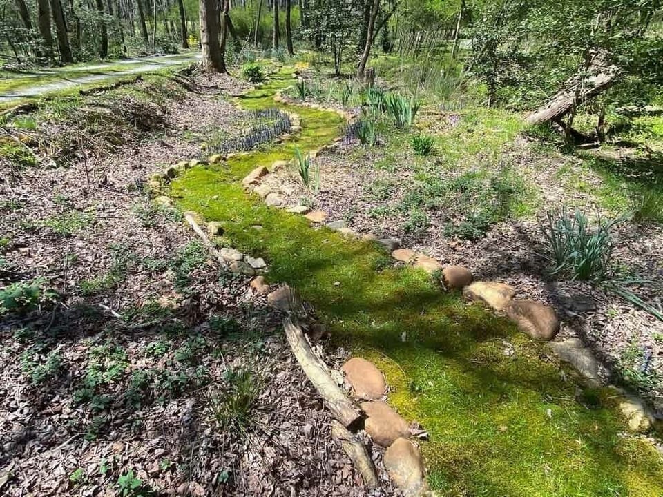 Take a walk on the moss covered paths on the property.