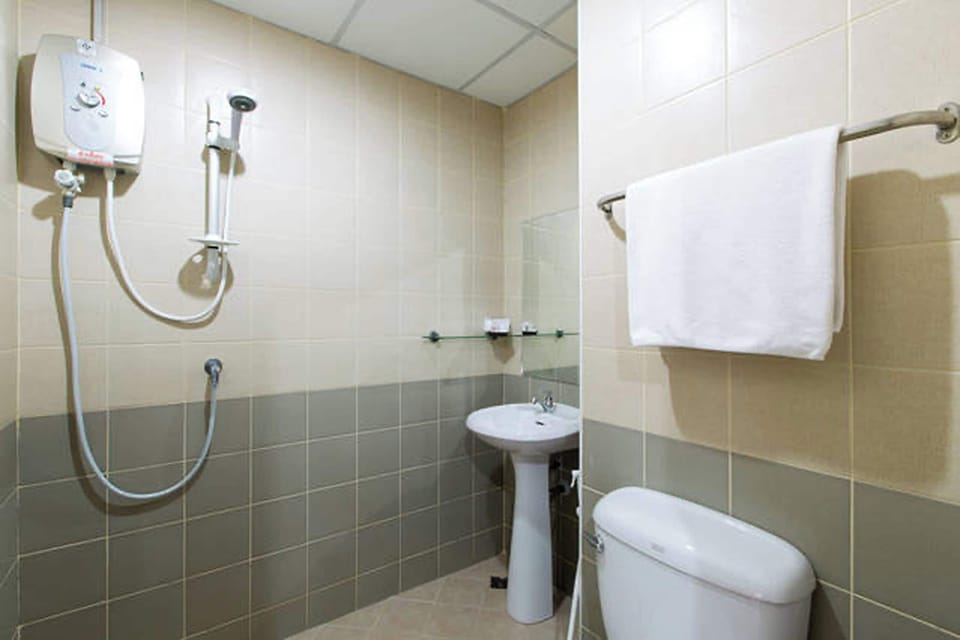 Shower, free toiletries, hair dryer, towels