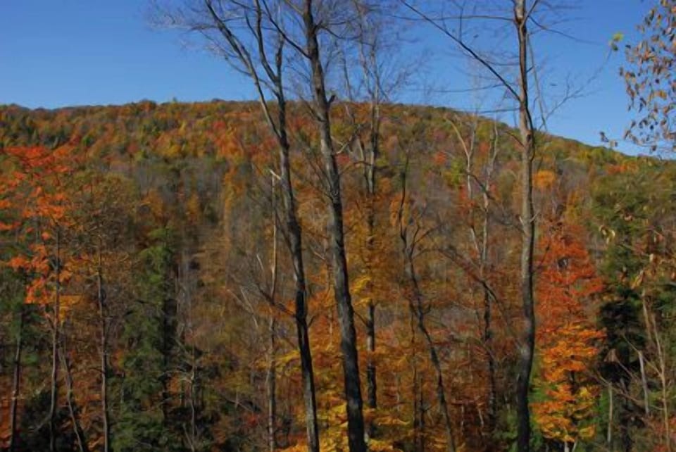 House (3 Bedrooms) | Property amenity