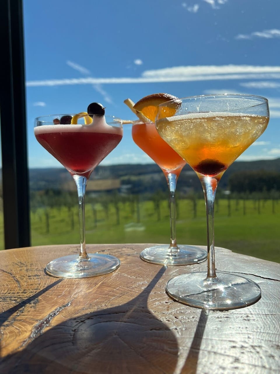 Drinks at Seminary Hill Cidery