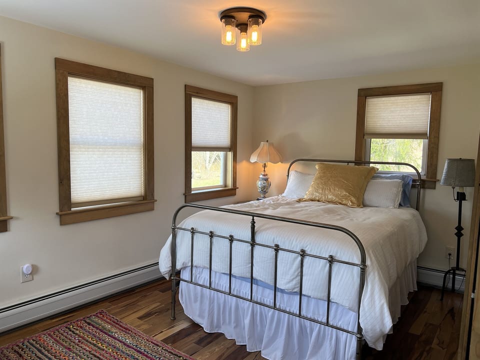 Bright, second-floor queen bedroom with a large TV. 4+ pillows.  Down comforter. 