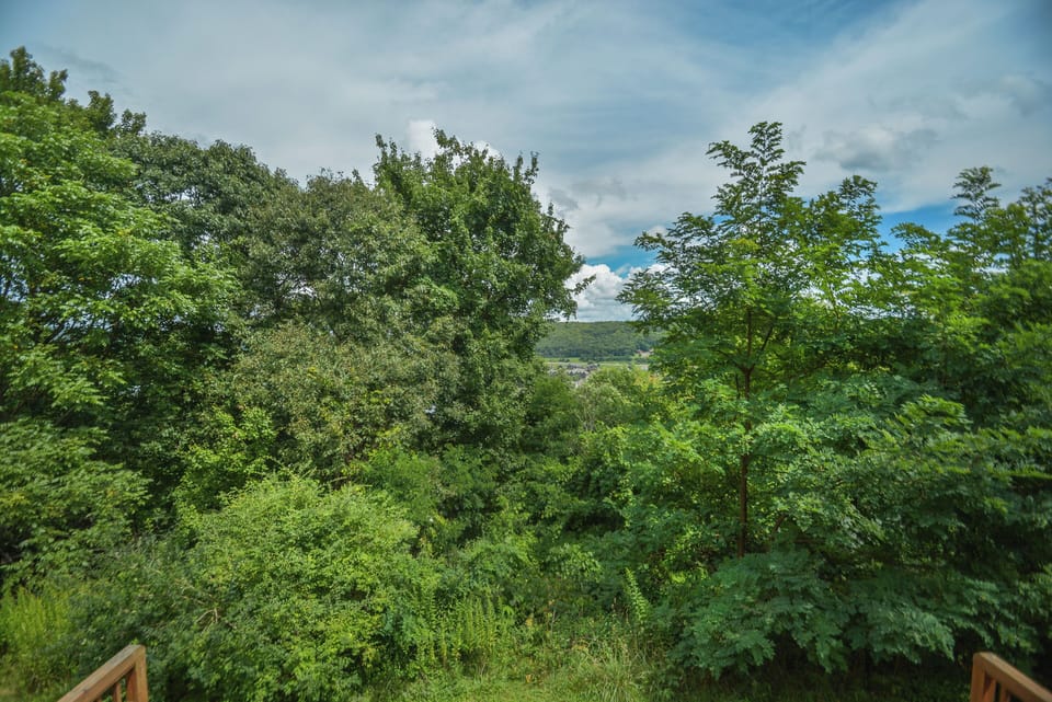 Studio (2 Bedrooms) | Property amenity