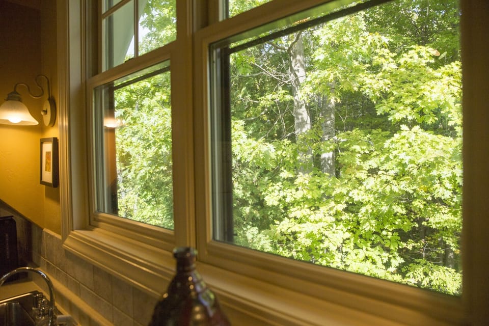 Treehouse views