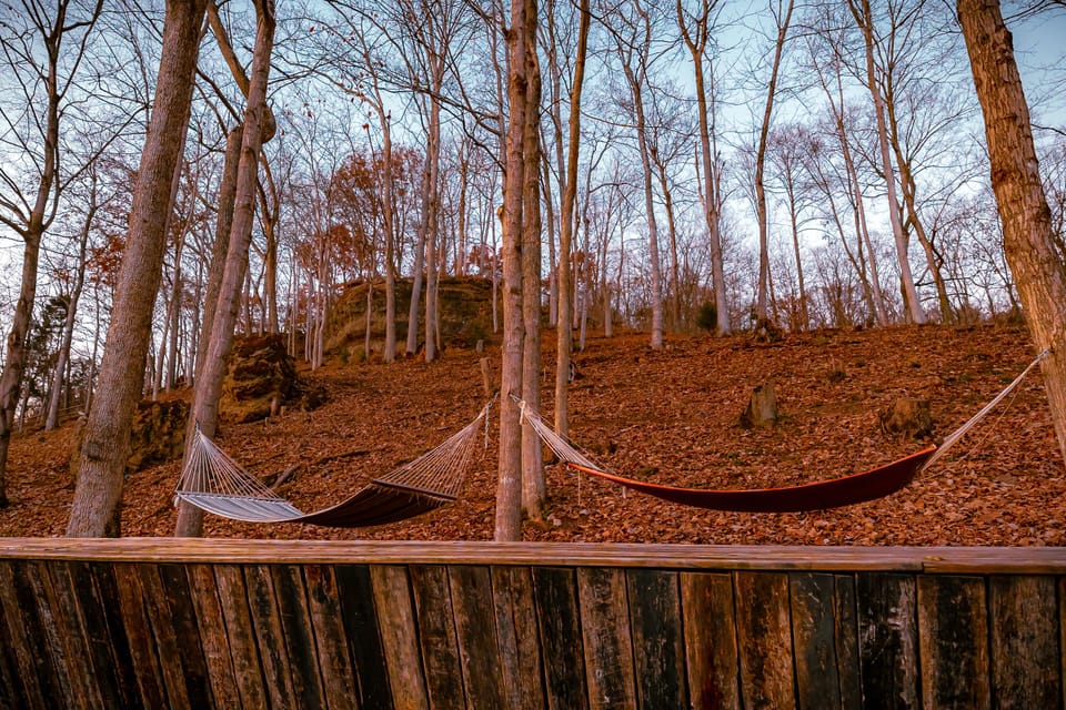 Common Hammock Area