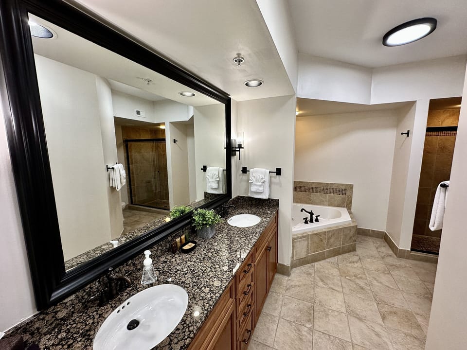 Master Bathroom with Jacuzzi Tub and Walk-in Shower