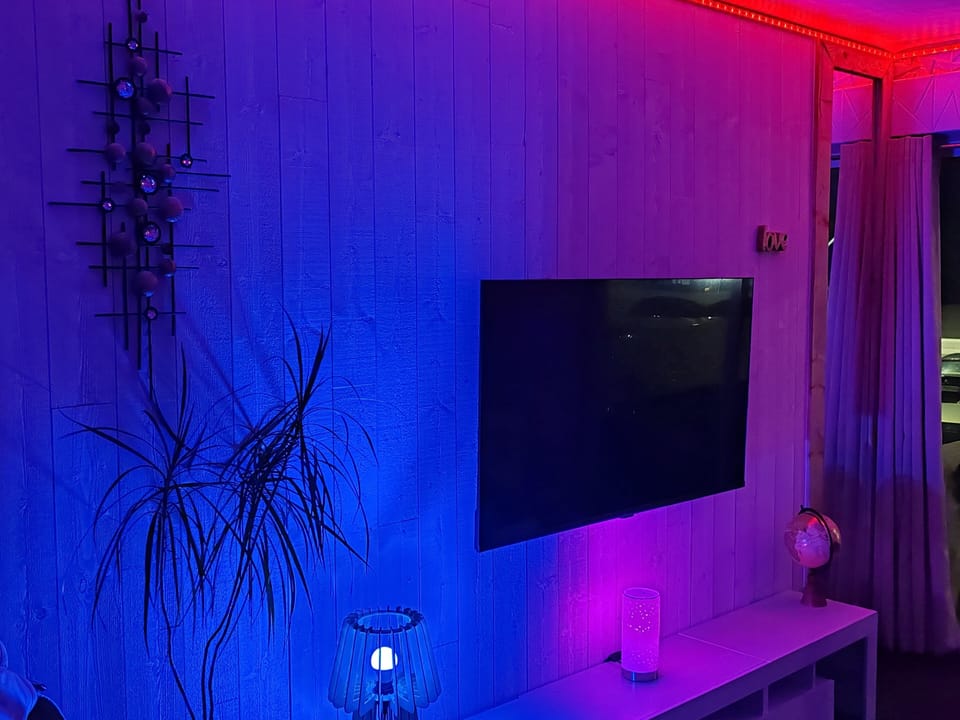Television