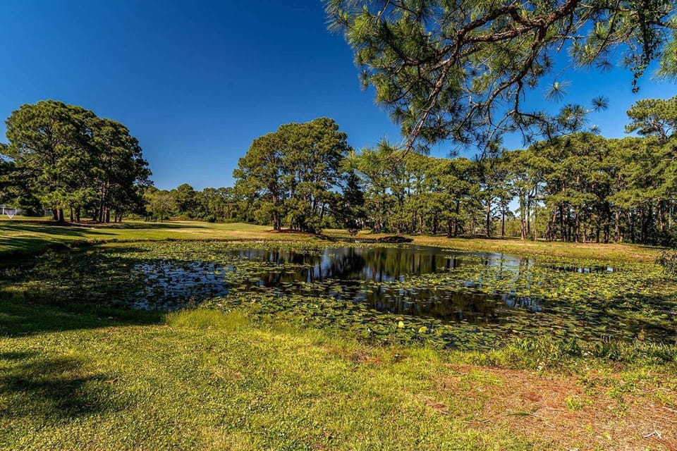 Lily Pad Pond in the backyard off of the 17th Hole