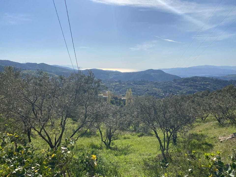 View from Lamin House 