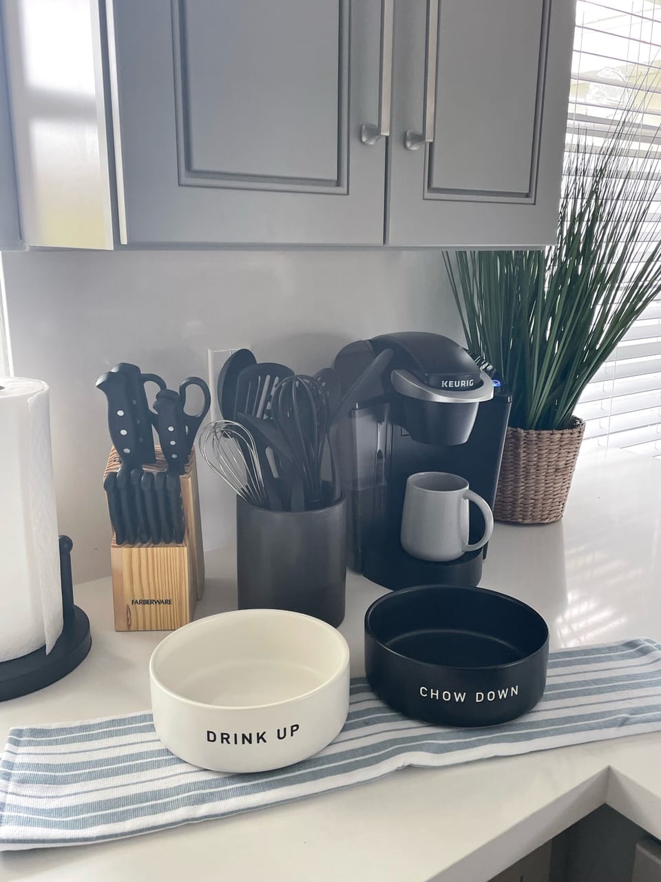 Dog bowls onsite 