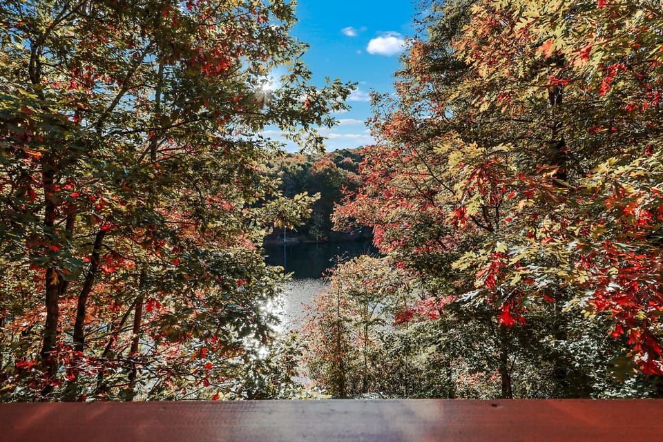 Fall always brings a vibrant range of hues to Water's Edge.